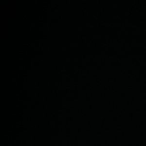 Meet your Posher, Herman